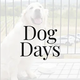 Dog Days