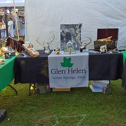 Art on the Lawn: Raptor Center Booth