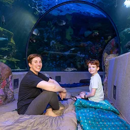 Zzz's Under the Sea Family