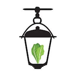 the Lantern