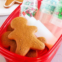 Gingerbread Decorating for Kids