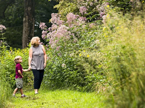 Designing Layered Landscapes