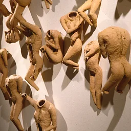Public Tour of Body Matters