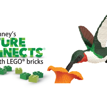 Sean Kenney’s Nature Connects® Made with LEGO® Bricks Exhibition