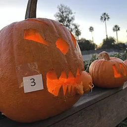 Live Music: Bob Schetter 1-4 pm/ PUMPKIN CARVING CONTEST 5:30-7 pm!