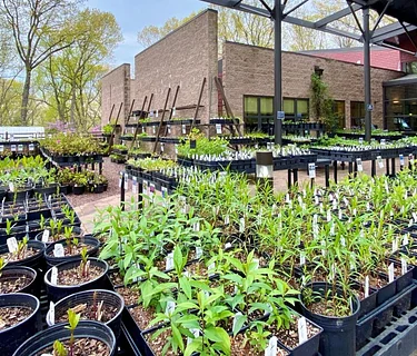 Opening Weekend Sale