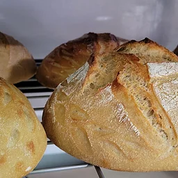 BEGINNERS SOURDOUGH BREAD CLASS w/ CHEF ANGELA BOWES, NOVEMBER 8TH at 11AM, $65 PER PERSON