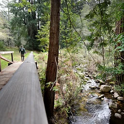 JOIN WAITLIST | Lets Go Outdoors! San Jose Creek Meander
