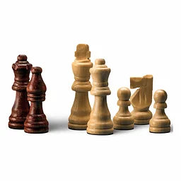 Kids Chess