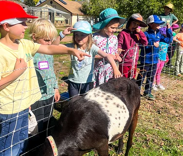 Fall on the Farm: Goats, Games, and Nature Art