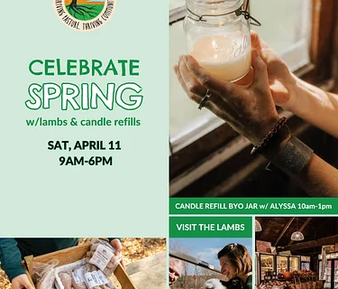 CELEBRATE SPRING: LAMBS & CANDLE REFILLS