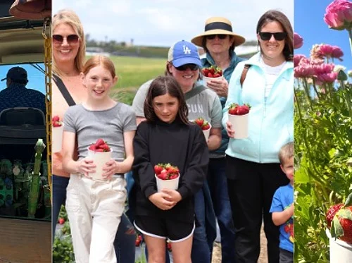 Military Appreciation Weekend