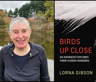 Birds Up Close by Lorna Gibson