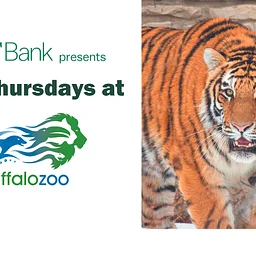 M&T Bank Presents Third Thursdays at the Buffalo Zoo