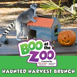 Dining Event: Haunted Harvest Brunch