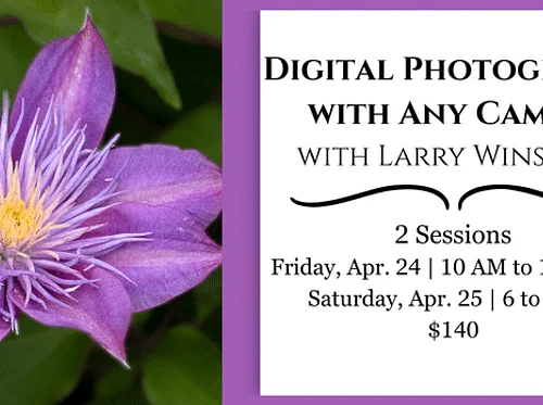 Digital Photography With Any Camera – Quinlan Visual Arts Center
