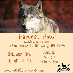 Harvest Howl
