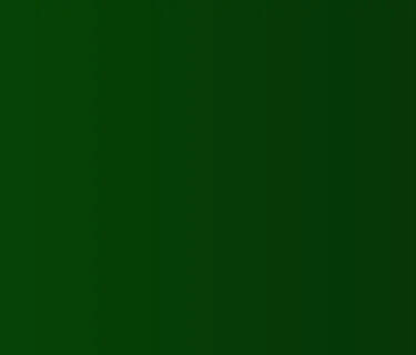 Event: Flamenco Dance Show