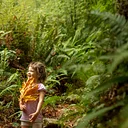 Enchanted Forest