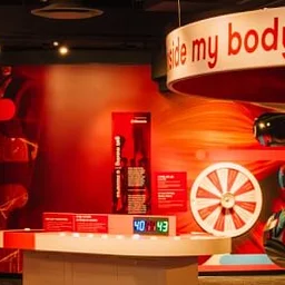 Turtle & Trout Chat