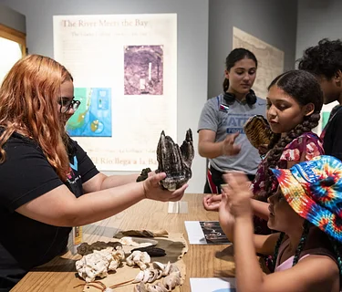 In Community: Hands-on-History with MDPLS | Coral Reef Branch
