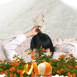 OPEN AiR | Joan Gutiérrez: Surrendering to the Flowers