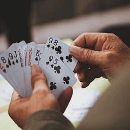 Learn to Play Bridge: A 6-Week Beginner Series