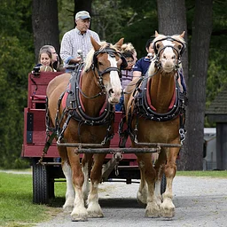 Shaker Harvest Festival 2026