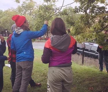 Spring City Foraging Workshop with Maria Wesserle