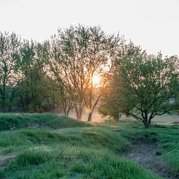 Evening Naturalist Hike
