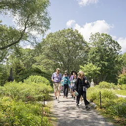 Discover Mount Auburn Walking Tour