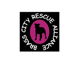 Brass City Rescue Alliance at Fall Fest, Woodbury 2026