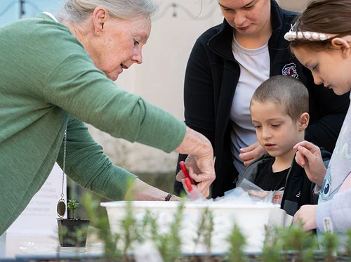 Family Day – Feed & Observe the Birds