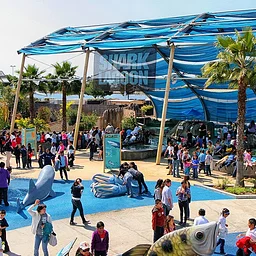 Shark Lagoon Night at Aquarium of the Pacific