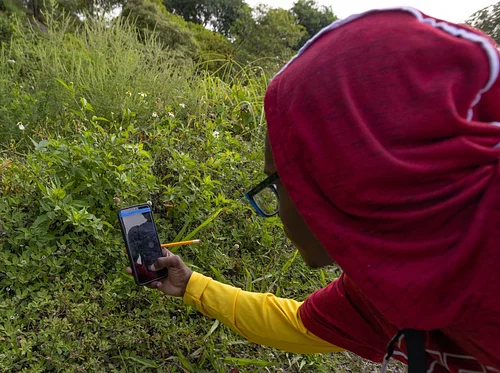 South Florida City Nature Challenge 2026
