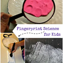 November STEAM Kit-Forensic Science
