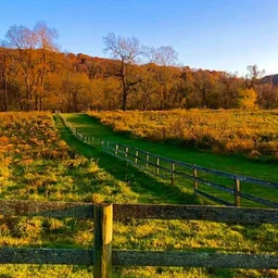 10-31 Halloween Trail Trek
