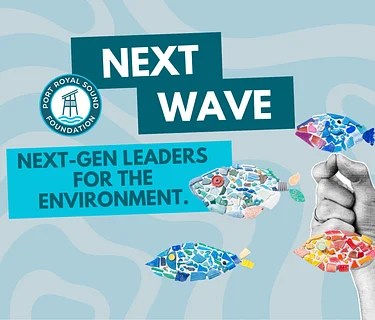 Next Wave: Magic of the Pluff Mud – Salt Marsh Monitoring & Conservation