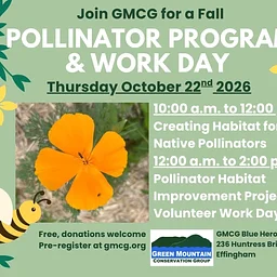 Creating Habitat for Native Pollinators with Green Mountain Conservation Group