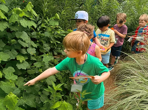 Habitat Safari: Summer Camp, Ages 5-6