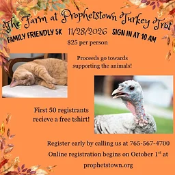 Turkey Trot