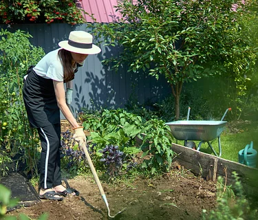 Getting Started with Natives