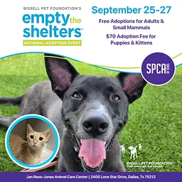 Bissell Empty The Shelters