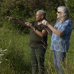 Bird Walk