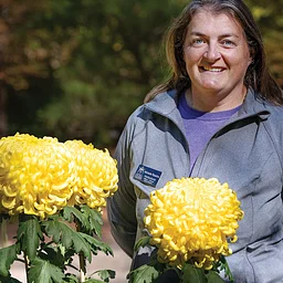 Mum’s the Word: Special Walking Tour of Show Chrysanthemums (Oct.)
