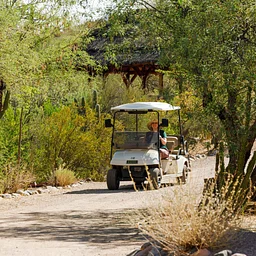 Cart Tour