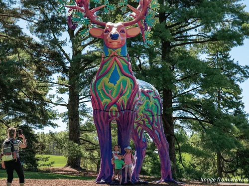 Van Trip to the Morton Arboretum