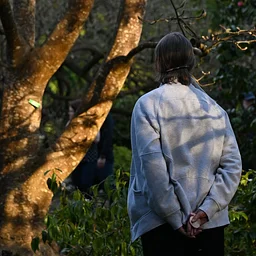 August Forest Bathing