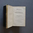 Behind the Bookcase | A Warm Heart and a Cold Eye: The Legacy of Herman Melville | In-Person