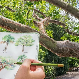 Advanced Nature Journaling Workshop: Form, Space & Texture